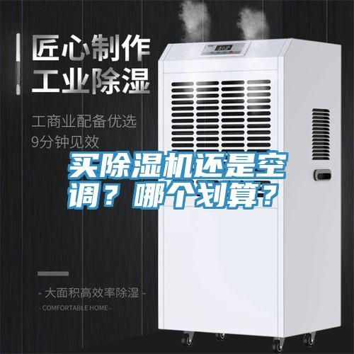 买小黄片直播视频还是空调？哪个划算？
