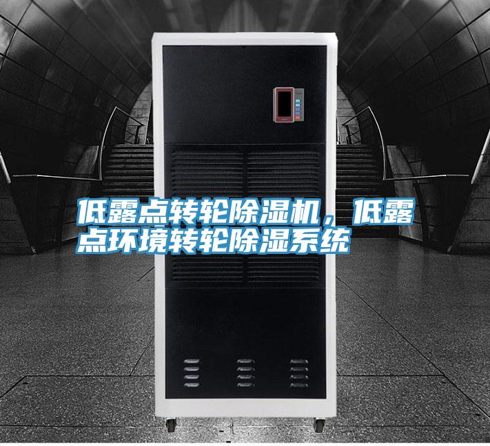 低露点转轮小黄片直播视频，低露点环境转轮除湿系统