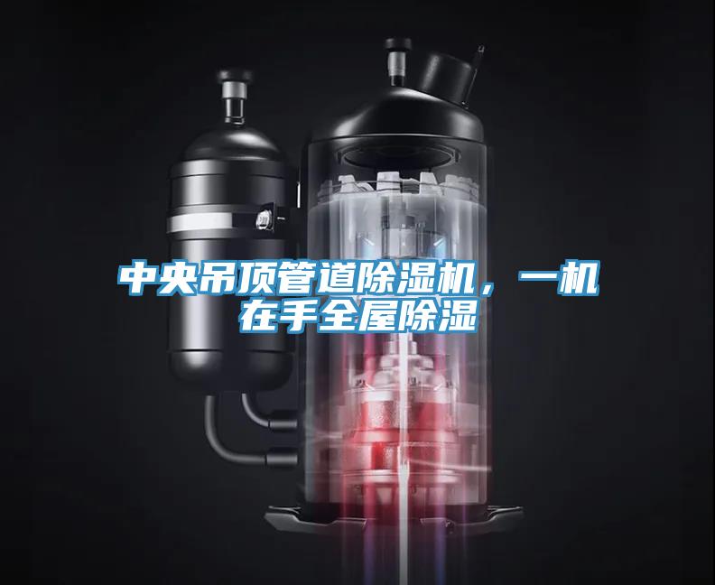 中央吊顶管道小黄片直播视频，一机在手全屋除湿