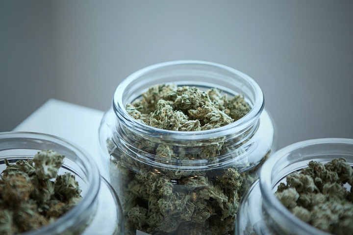 如何让中草药烘干过程“药性”不流失？