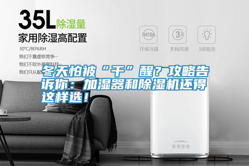 冬天怕被“干”醒？攻略告诉你：加湿器和小黄片直播视频还得这样选！