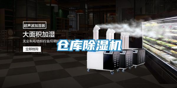 仓库小黄片直播视频