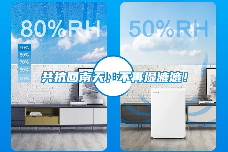 共抗回南天，不再湿漉漉！