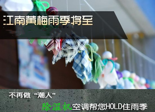 防潮小黄片直播视频