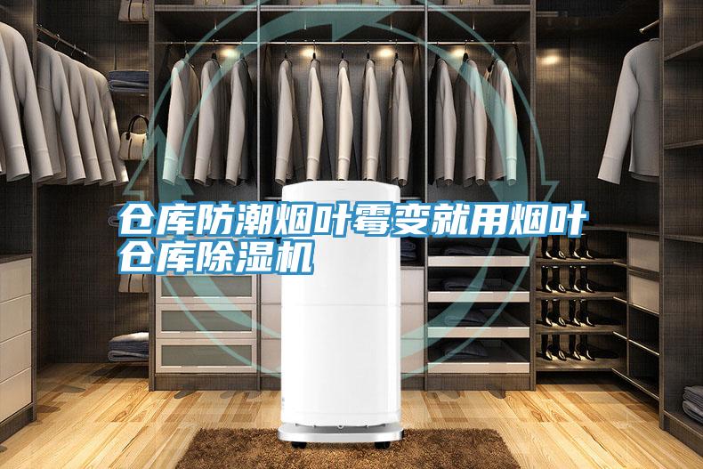 仓库防潮烟叶霉变就用烟叶仓库小黄片直播视频