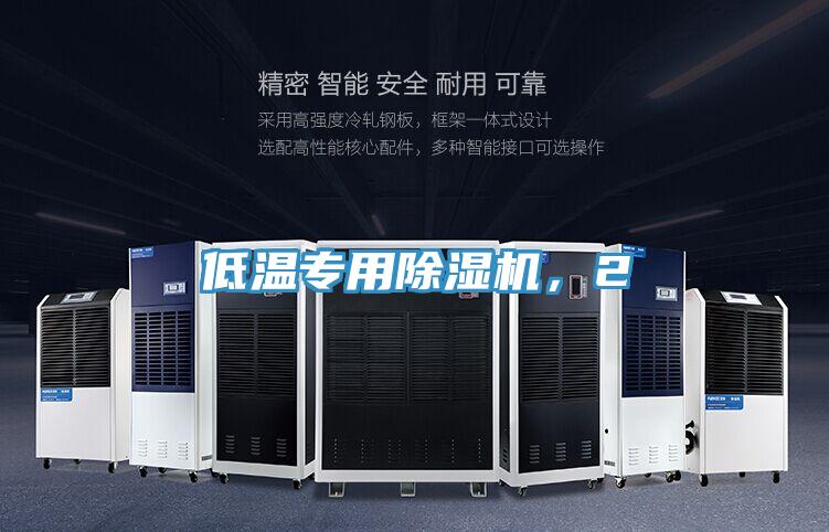 低温专用小黄片直播视频，2