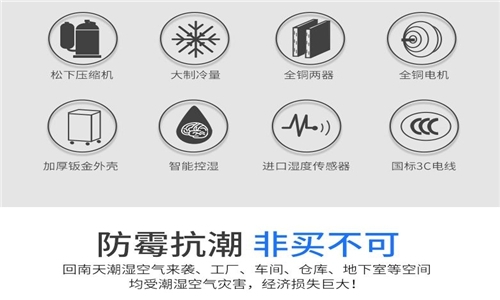 为什么房子潮湿会有危害？