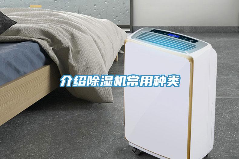 介绍小黄片直播视频常用种类
