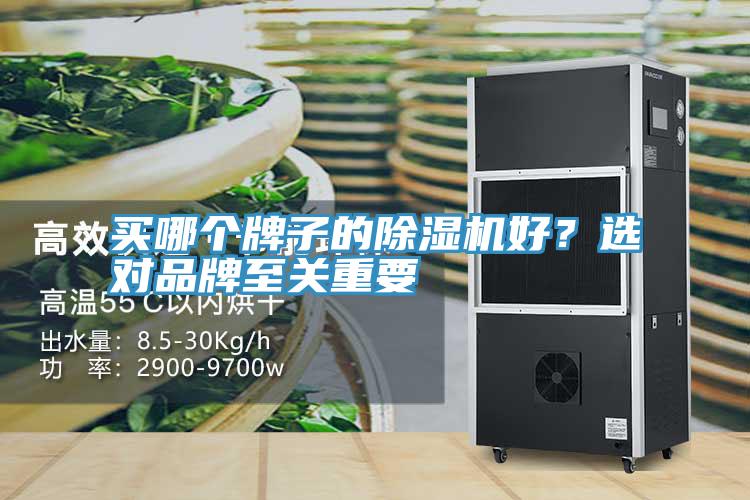 买哪个牌子的小黄片直播视频好？选对品牌至关重要