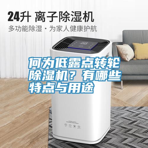何为低露点转轮小黄片直播视频？有哪些特点与用途
