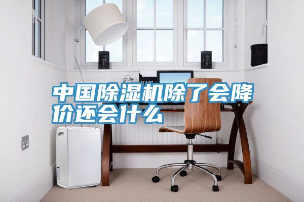 中国小黄片直播视频除了会降价还会什么