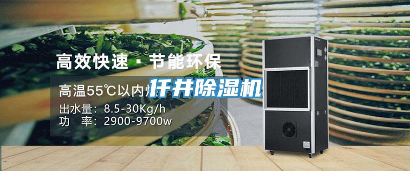 仟井小黄片直播视频