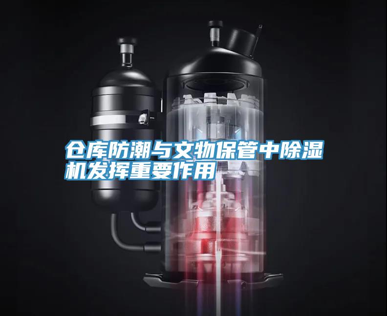 仓库防潮与文物保管中小黄片直播视频发挥重要作用