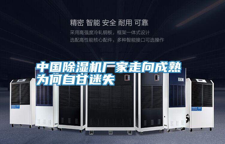中国小黄片直播视频厂家走向成熟 为何自甘迷失