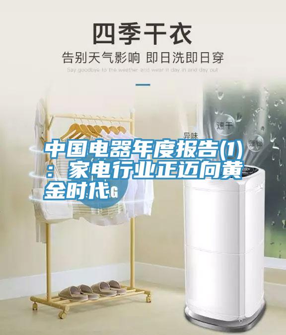 中国电器年度报告(1)：家电行业正迈向黄金时代