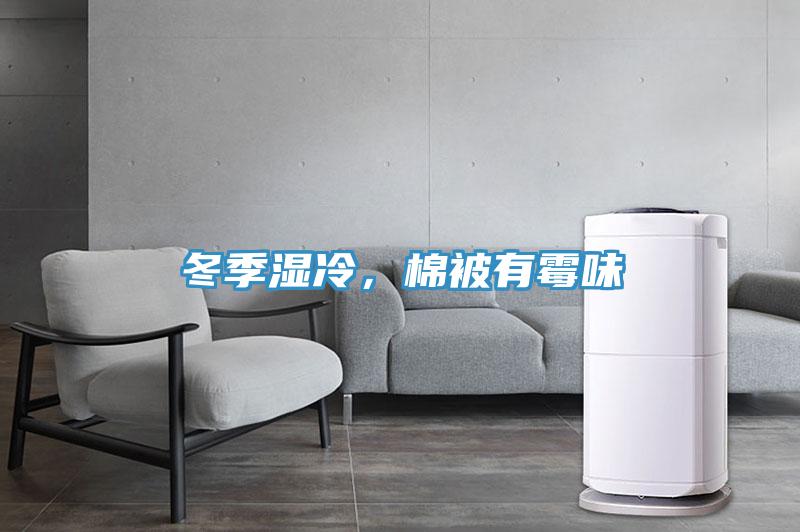 冬季湿冷，棉被有霉味