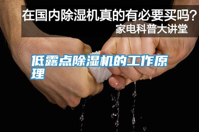 低露点小黄片直播视频的工作原理