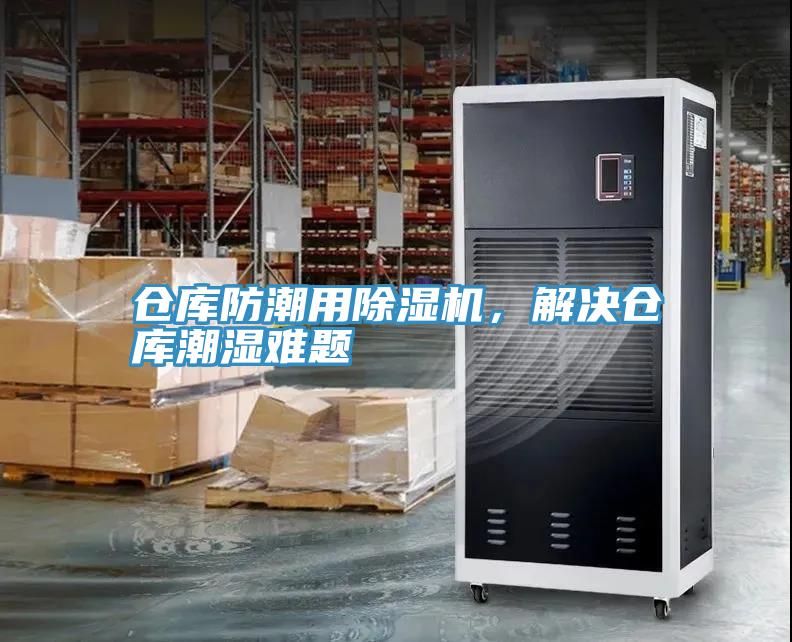 仓库防潮用小黄片直播视频，解决仓库潮湿难题