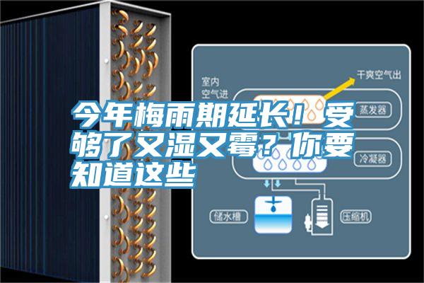今年梅雨期延长！受够了又湿又霉？你要知道这些