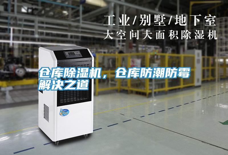 仓库小黄片直播视频，仓库防潮防霉解决之道
