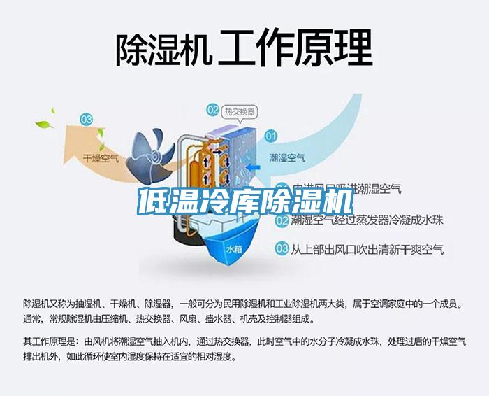 低温冷库小黄片直播视频