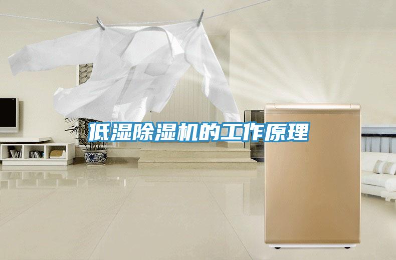 低湿小黄片直播视频的工作原理