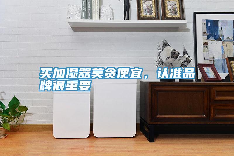 买加湿器莫贪便宜，认准品牌很重要