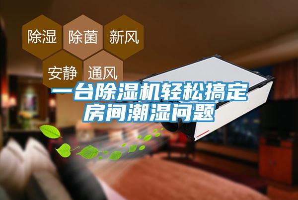 一台小黄片直播视频轻松搞定房间潮湿问题