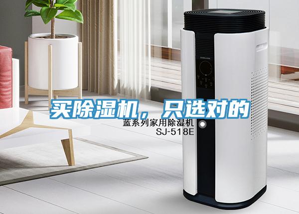 买小黄片直播视频，只选对的