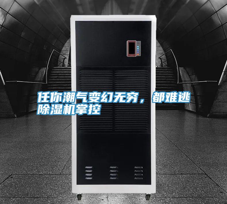任你潮气变幻无穷，都难逃小黄片直播视频掌控