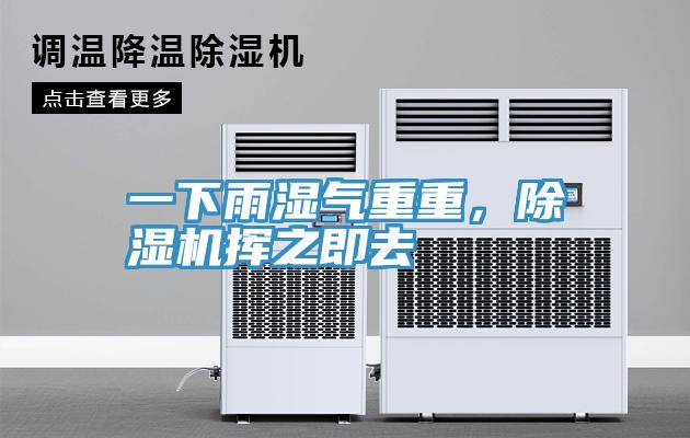 一下雨湿气重重，小黄片直播视频挥之即去