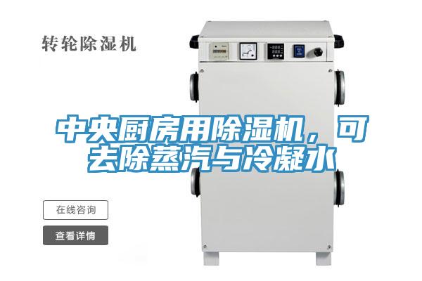 中央厨房用小黄片直播视频，可去除蒸汽与冷凝水