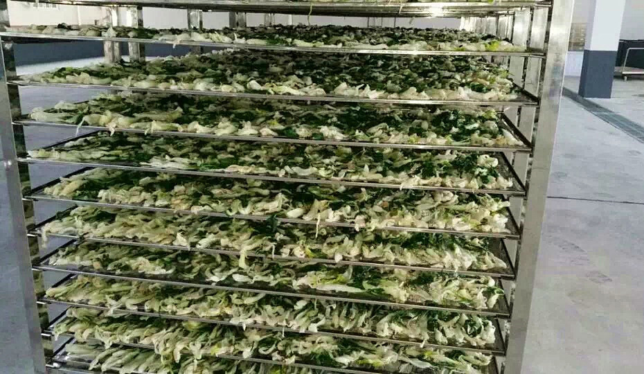 菜干需求一直都很大，蔬菜烘干机很有市场