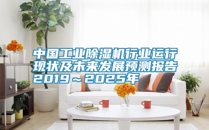 中国工业小黄片直播视频行业运行现状及未来发展预测报告2019～2025年