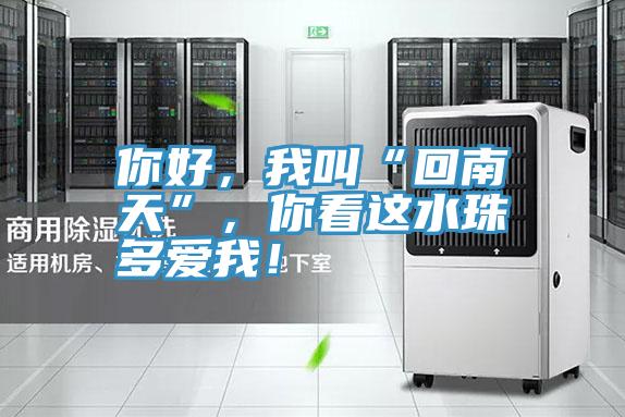 你好，我叫“回南天”，你看这水珠多爱我！