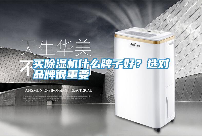 买小黄片直播视频什么牌子好？选对品牌很重要