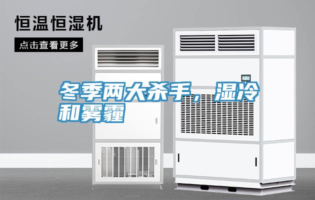 冬季两大杀手，湿冷和雾霾