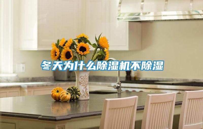 冬天为什么小黄片直播视频不除湿