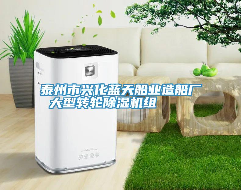 泰州市兴化蓝天船业造船厂 大型转轮小黄片直播视频组