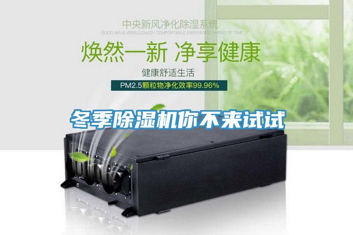 冬季小黄片直播视频你不来试试