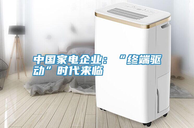 中国家电企业：“终端驱动”时代来临