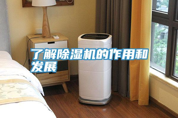 了解小黄片直播视频的作用和发展