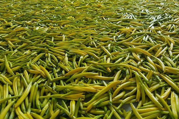 无硫金针菜烘干如何保持品相？不发黑？_小黄片直播视频厂家