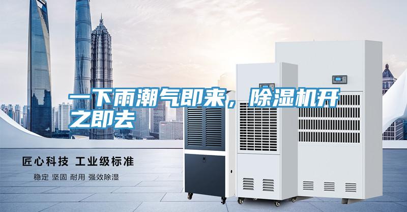 一下雨潮气即来，小黄片直播视频开之即去