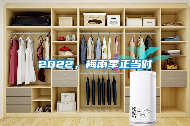 2022，梅雨季正当时