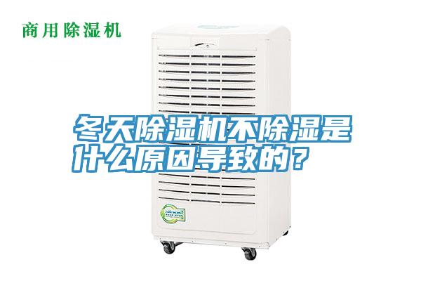 冬天小黄片直播视频不除湿是什么原因导致的？