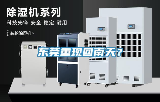 东莞重现回南天？