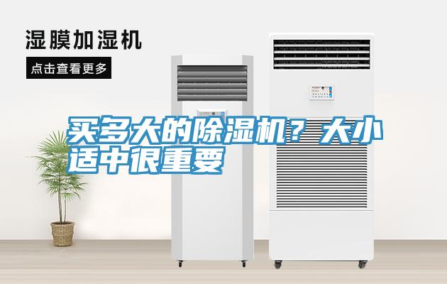买多大的小黄片直播视频？大小适中很重要