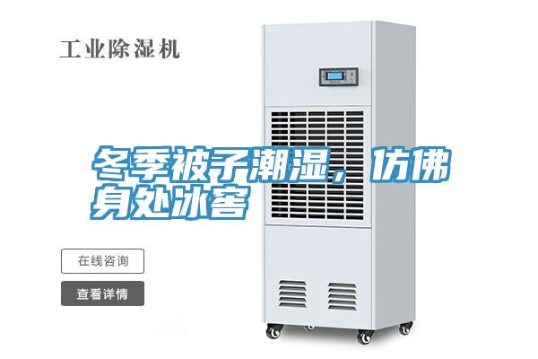 冬季被子潮湿，仿佛身处冰窖