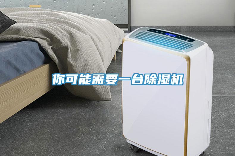 你可能需要一台小黄片直播视频
